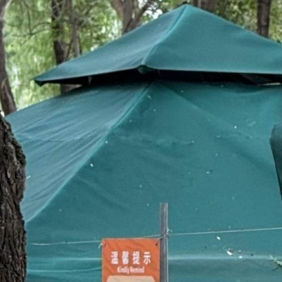 贾乃亮陪甜馨逛虎园贾乃亮陪甜馨逛虎园，父女同游好温馨，镜头里全是爱