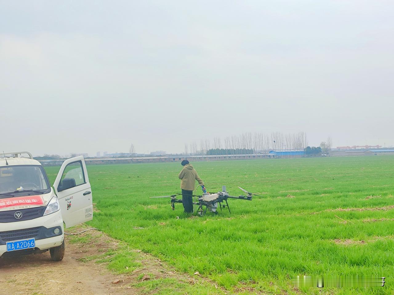 最近关中地区的无人机小麦“一喷三防”可太火了。“一喷三防”就是一次喷施农药、肥料