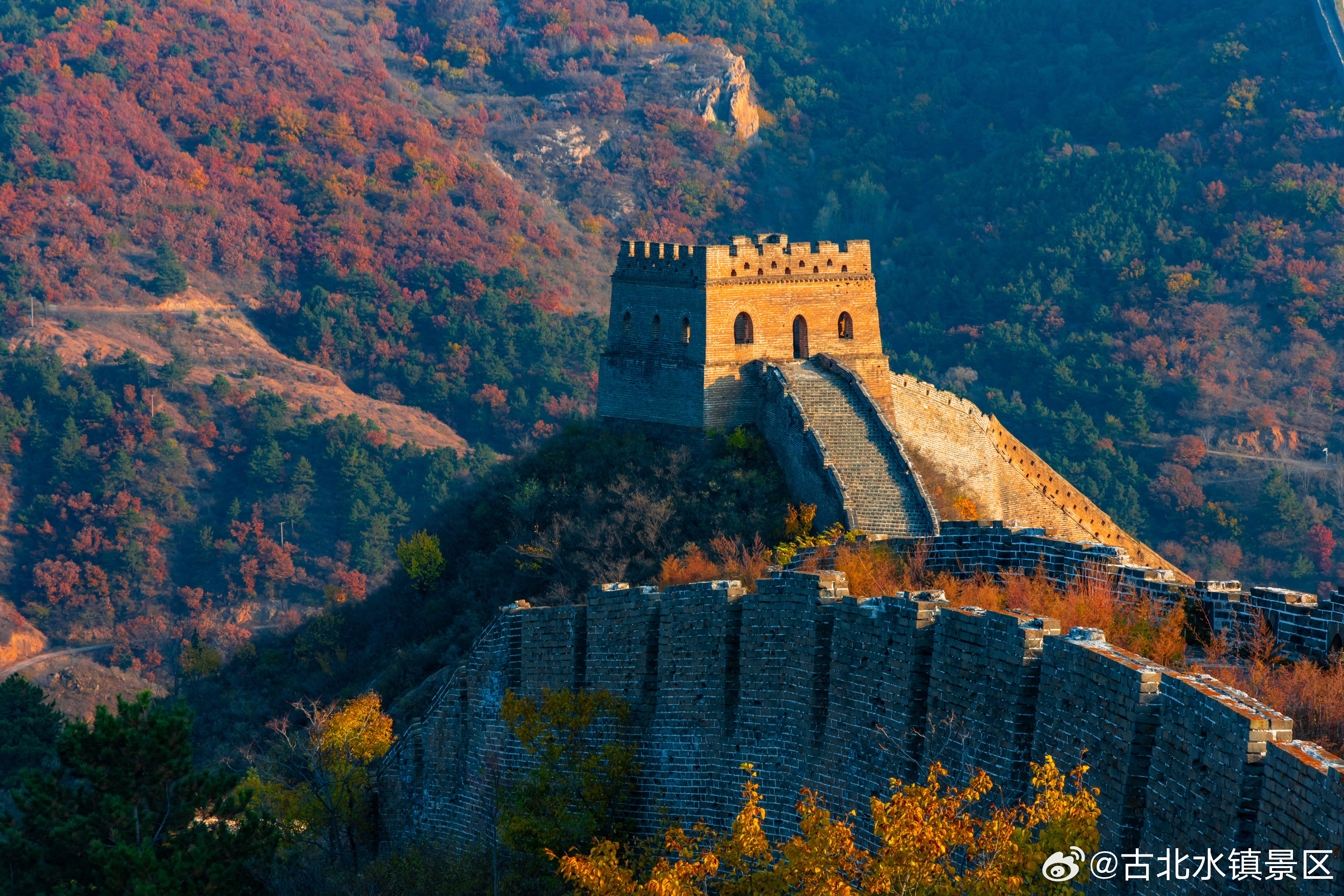 一杯热茶🍵一捧红叶🍁邂逅清晨长城下的静谧时光愿今天的你，也被温暖环绕[锦鲤附