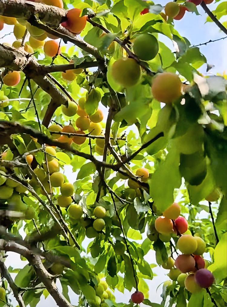 人生在世，你悟到什么道理开心快乐健康生活最重要，少钻牛角尖！！