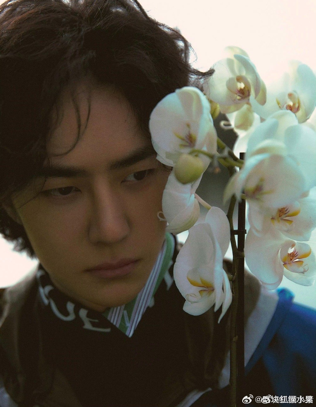 王一博巴黎时装周大片来袭 花儿与少年！ 