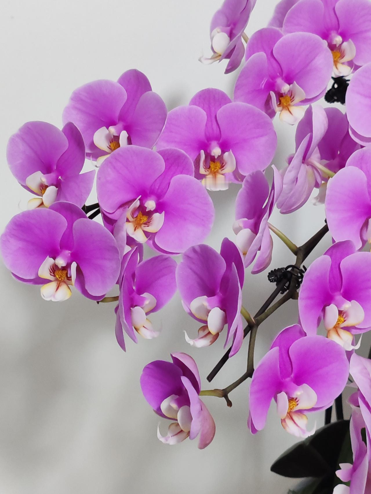 这种事不必太过较真，也不太方便说。箱子封着，谁也看不到里面的情况。人家心意到了就