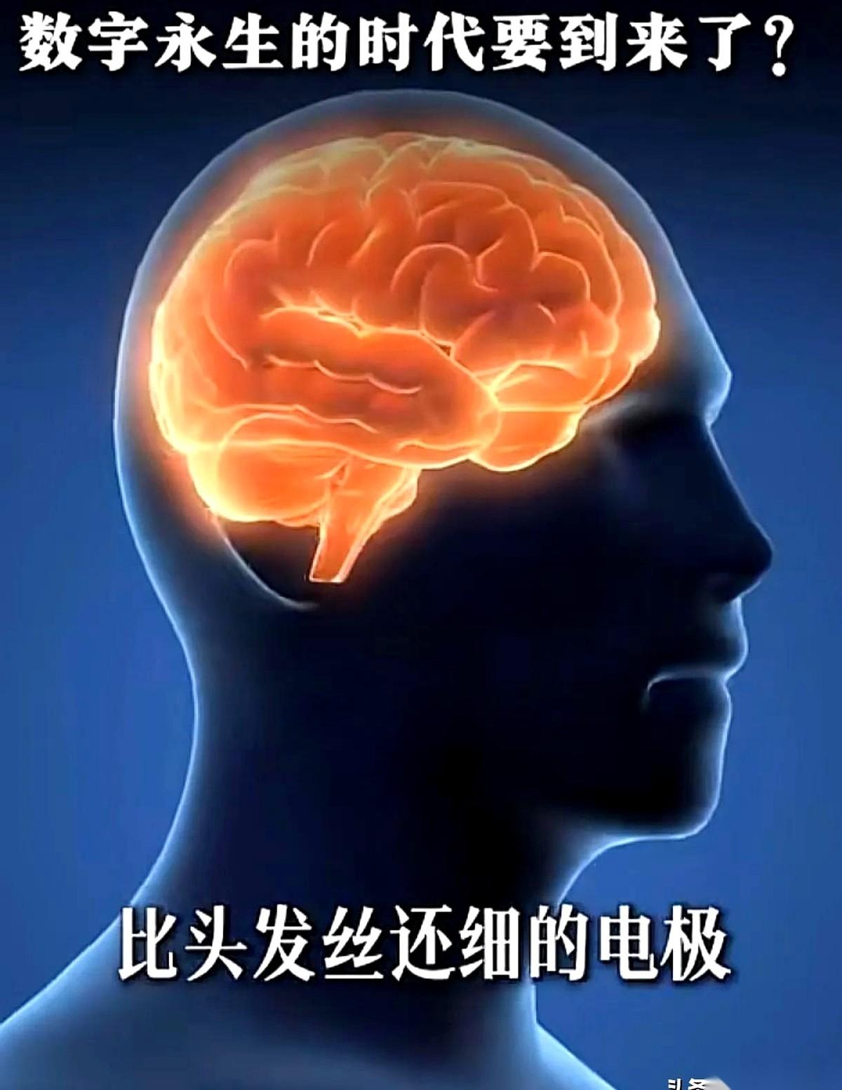 马斯克的脑机接口，据说快要铺开了。
但有个问题没人敢往深了想：如果有一天，你伸出
