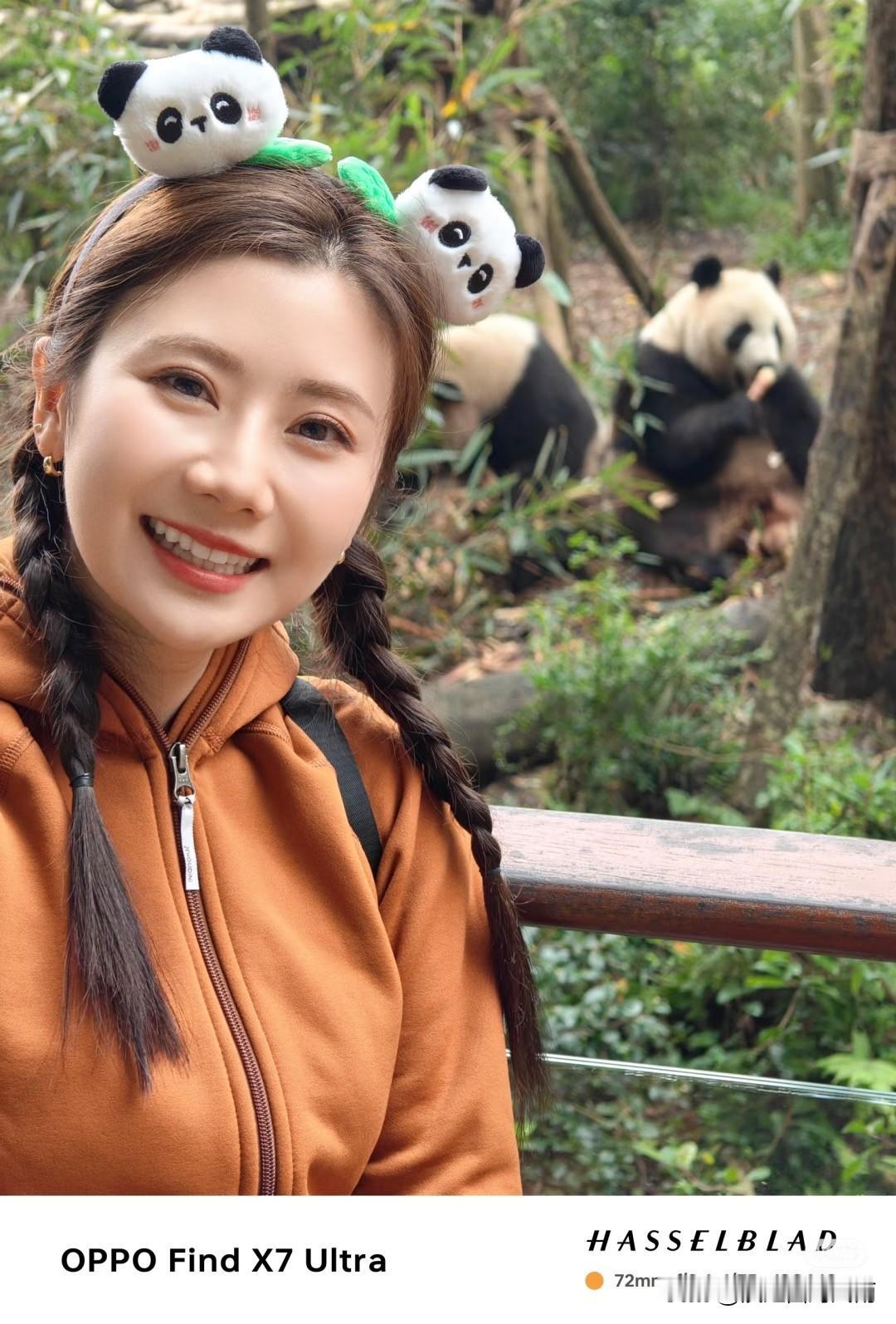 福原爱离婚：一场精心策划的