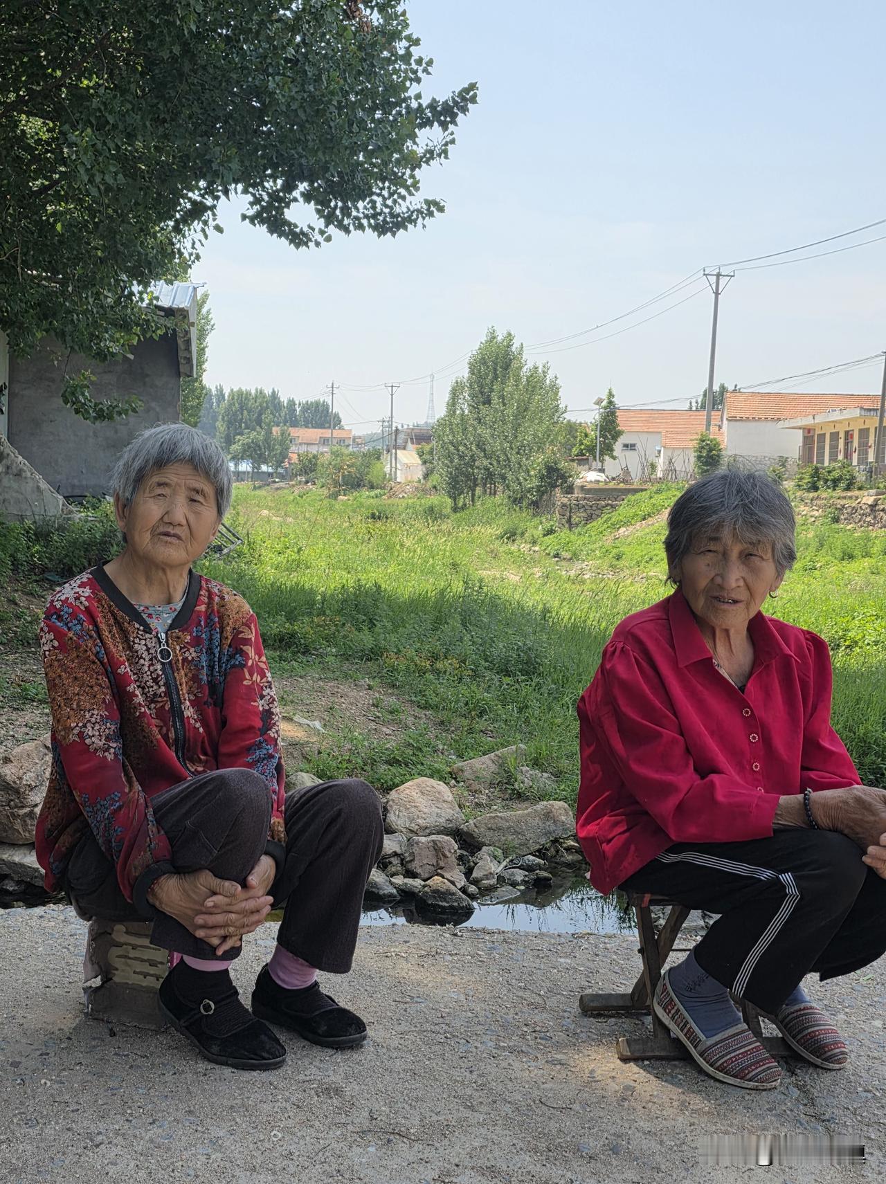 两小时烙54张馅饼，太好吃了……

上午在村北桥头聊天时，村北婶子就摘了很多韭菜