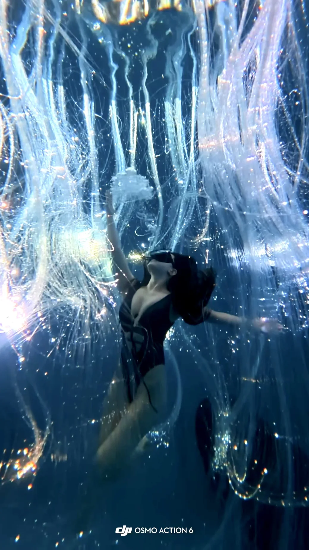 蓝时生命树拍啦