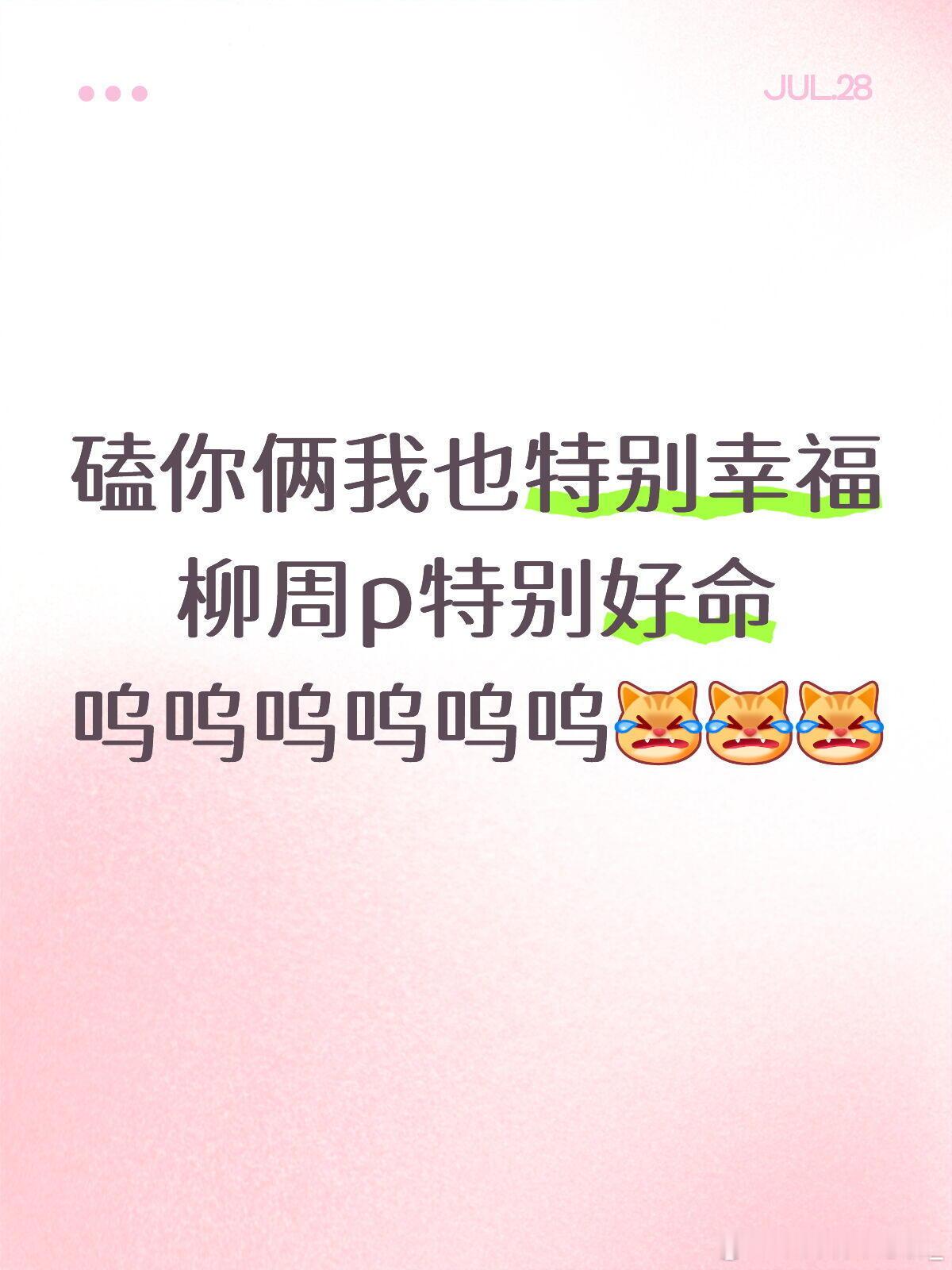 柳周cp幸福得要落泪了你俩一定好好的 