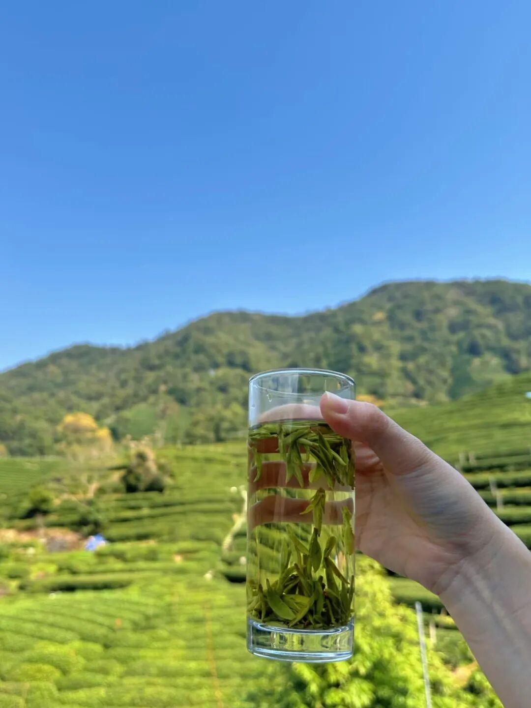 柘枝引 · 春绿

群山渐绿雪消融。九陌笑东风。花木妆新翠，关河尽在雨烟中。
