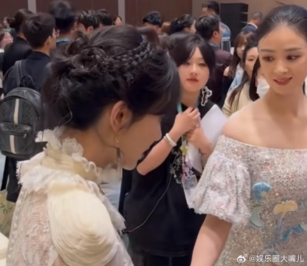杨紫没拿视后，我不奇怪蒋欣获得女配，我也不奇怪让我吃惊的是，最佳电视剧竟然是《我