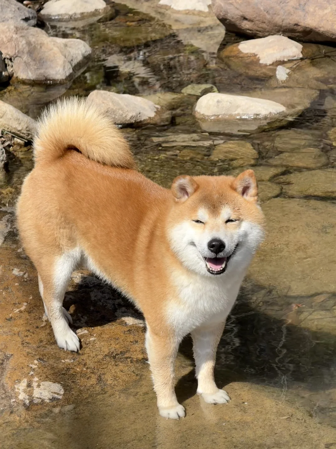 人，请进来夸奖小宝