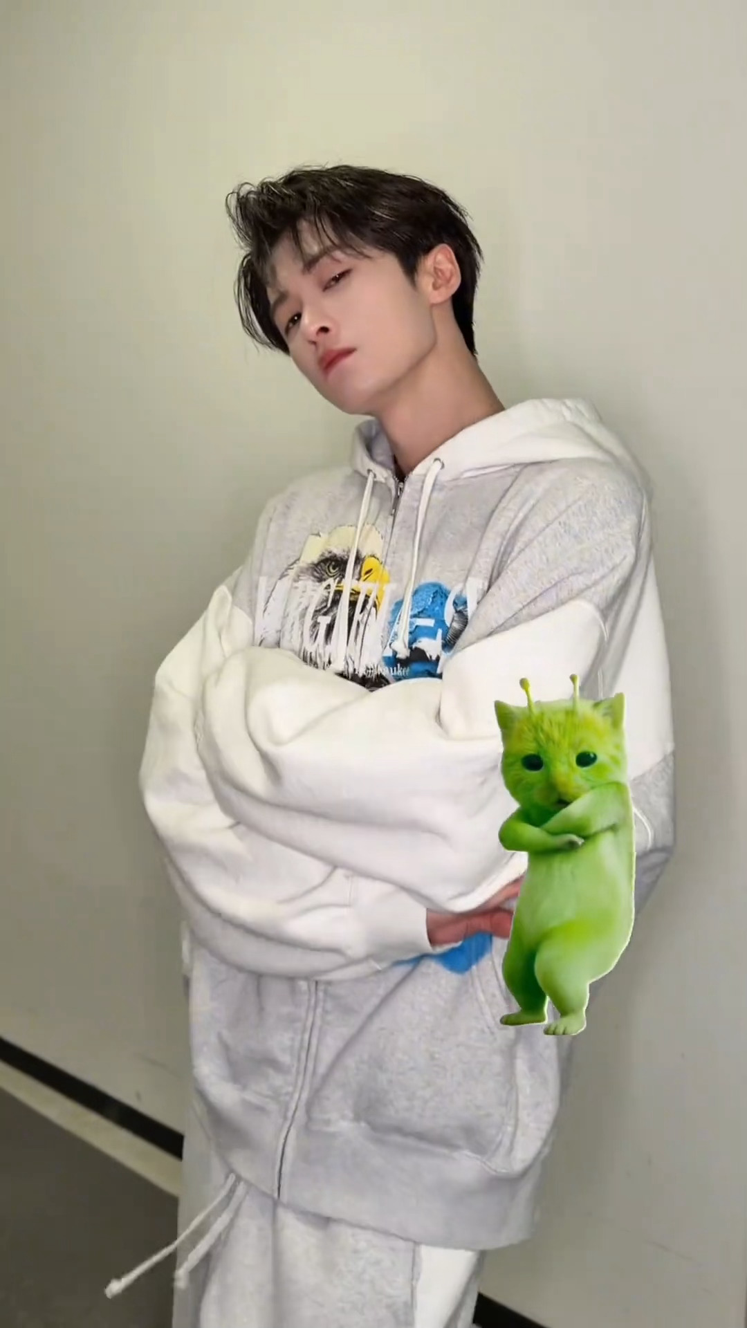 图中有__只小猫檀健次跳了小鸡舞