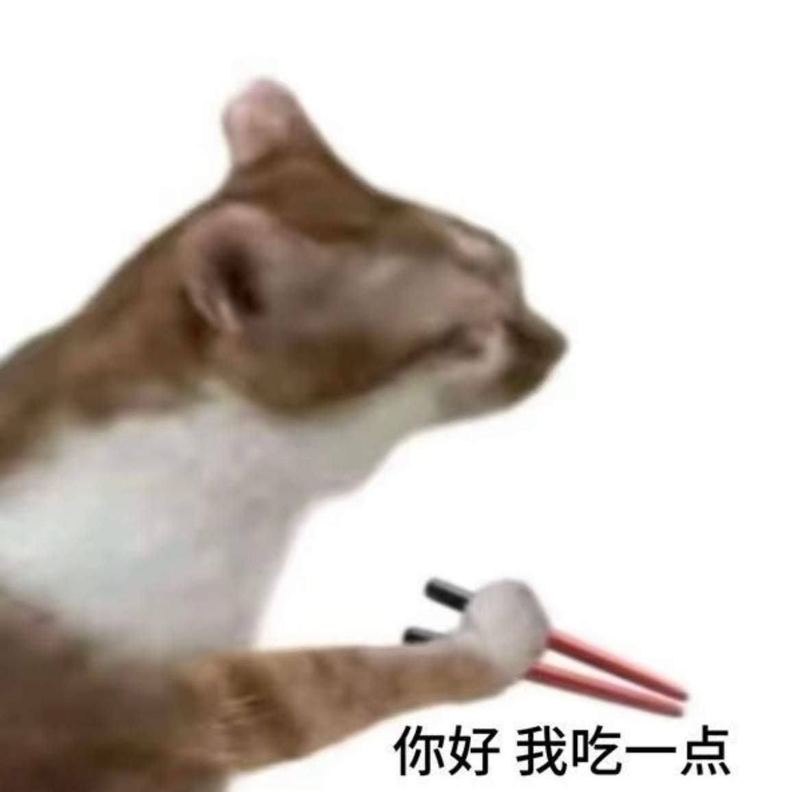 年夜饭都上桌了吗？我这还没到晚饭时间呢，申请先看看大家的年夜饭吧，让我羡慕下，我