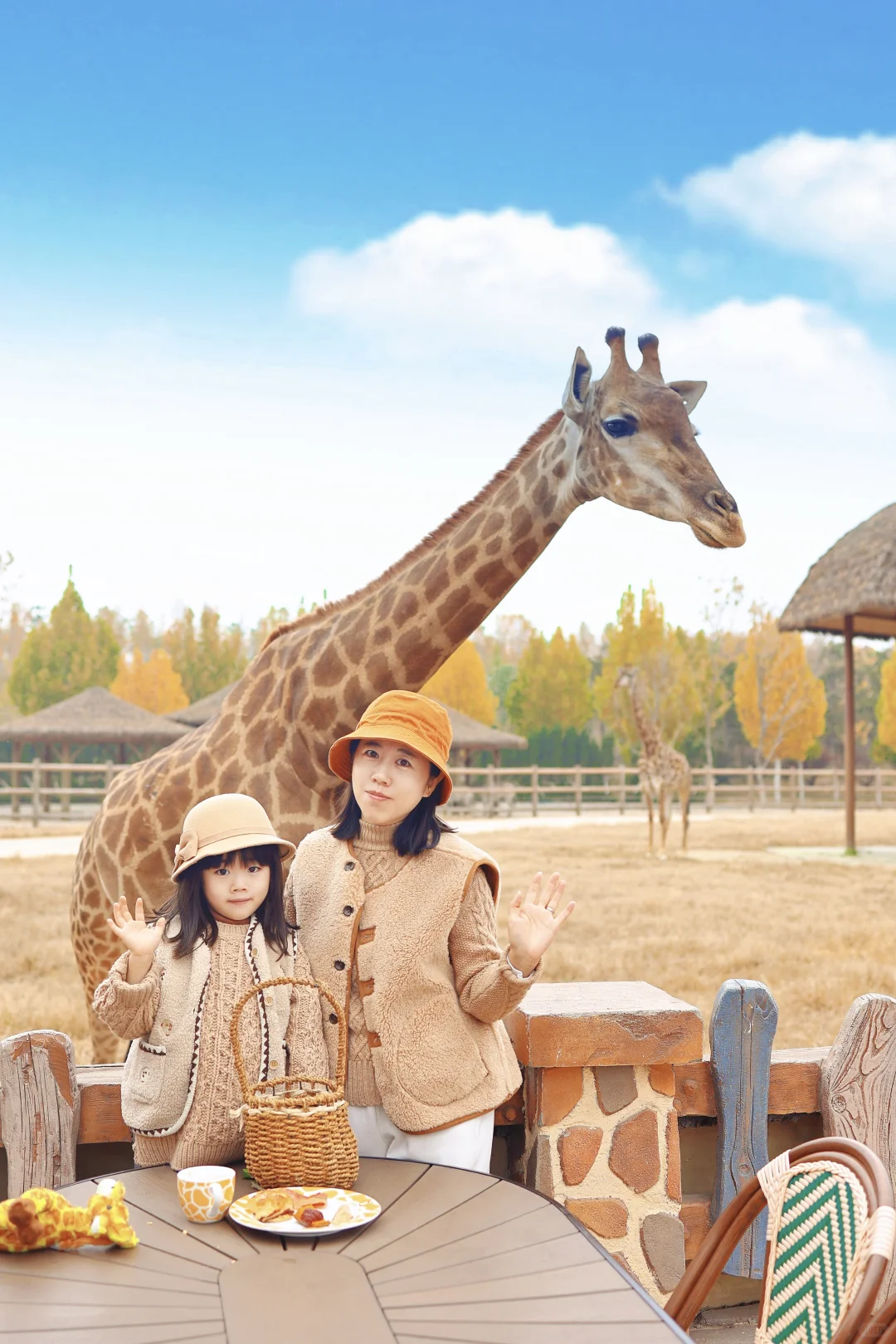 北京1.5h不输长隆❗️带娃住进疯狂动物城🦒