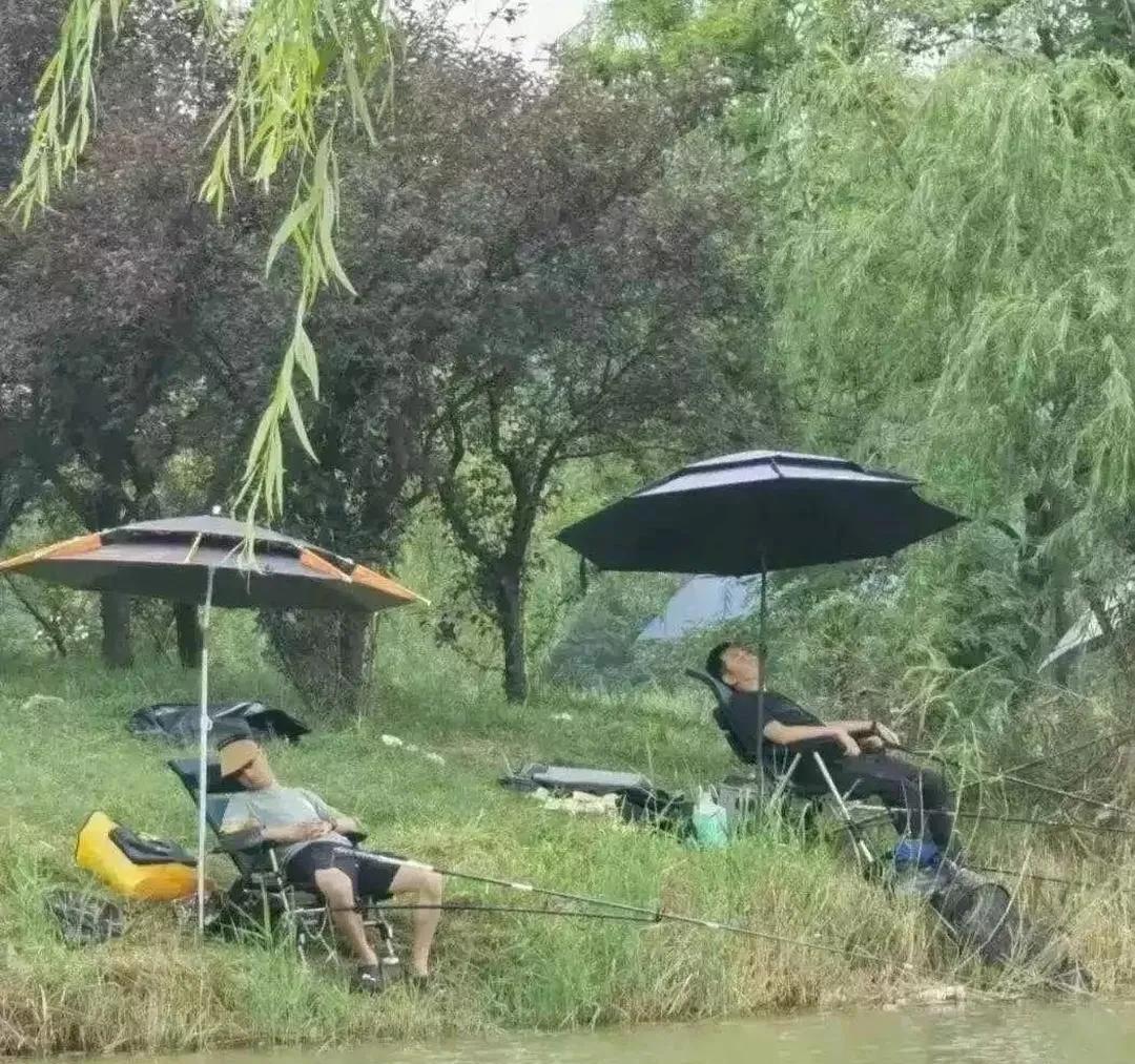 你俩是上这儿补觉来了吧！
