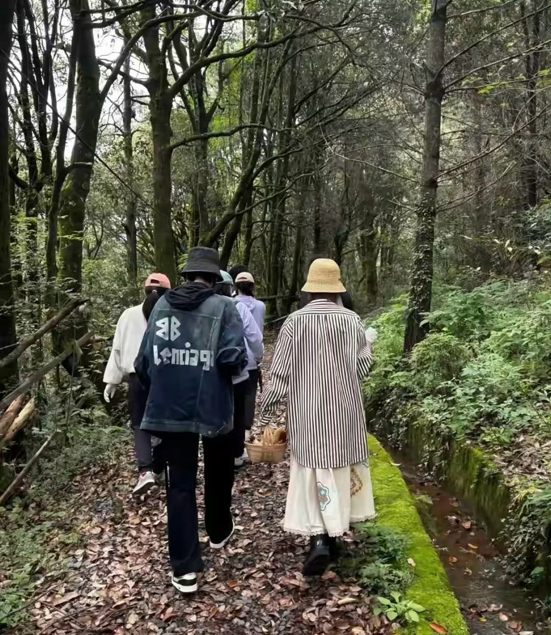 张若昀唐艺昕云南采菌子张若昀唐艺昕云南体验采菌子 ​​​