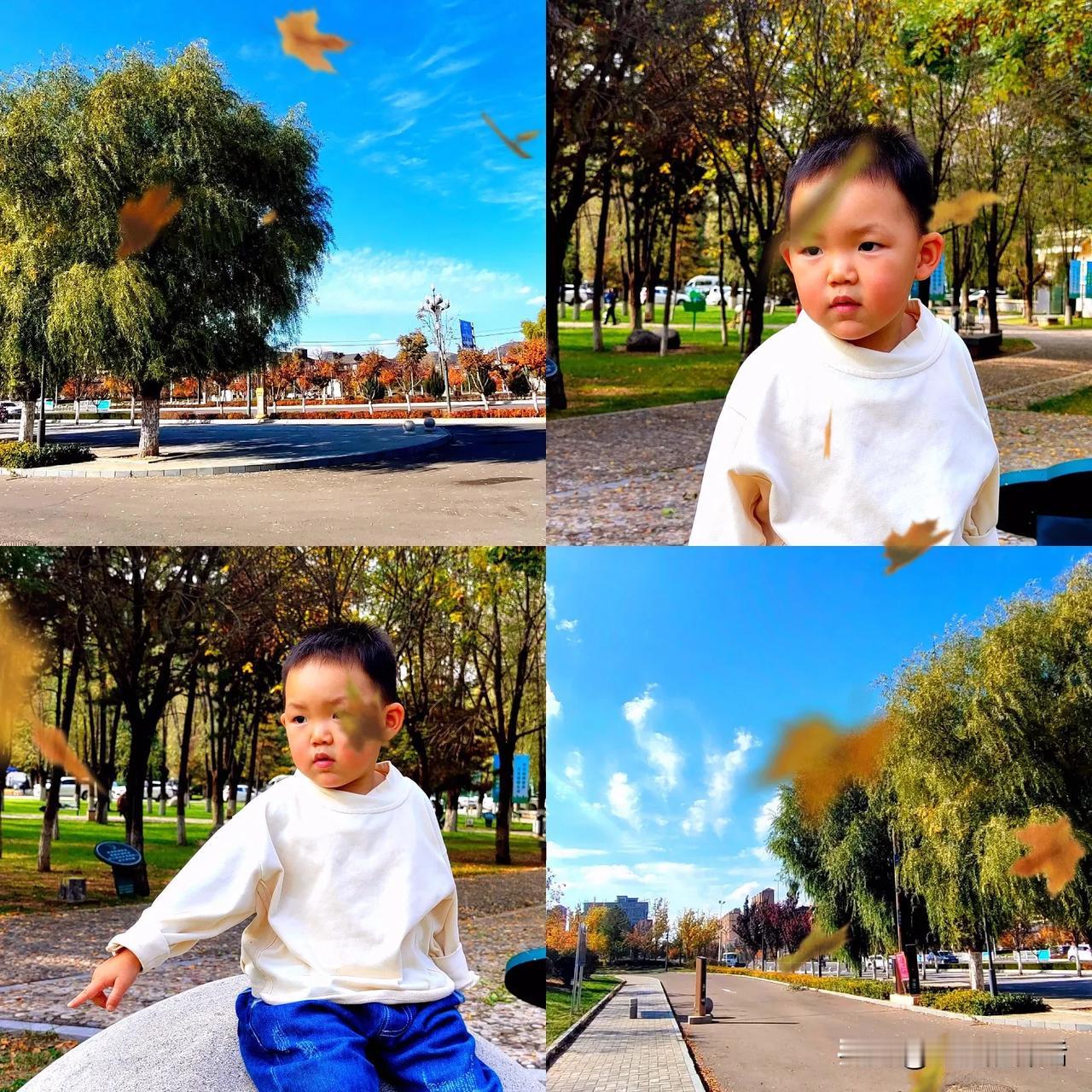 2024年，剪映些生活碎片。
我们无法用财富来衡量精神的愉悦。
因为在孩子（或毛