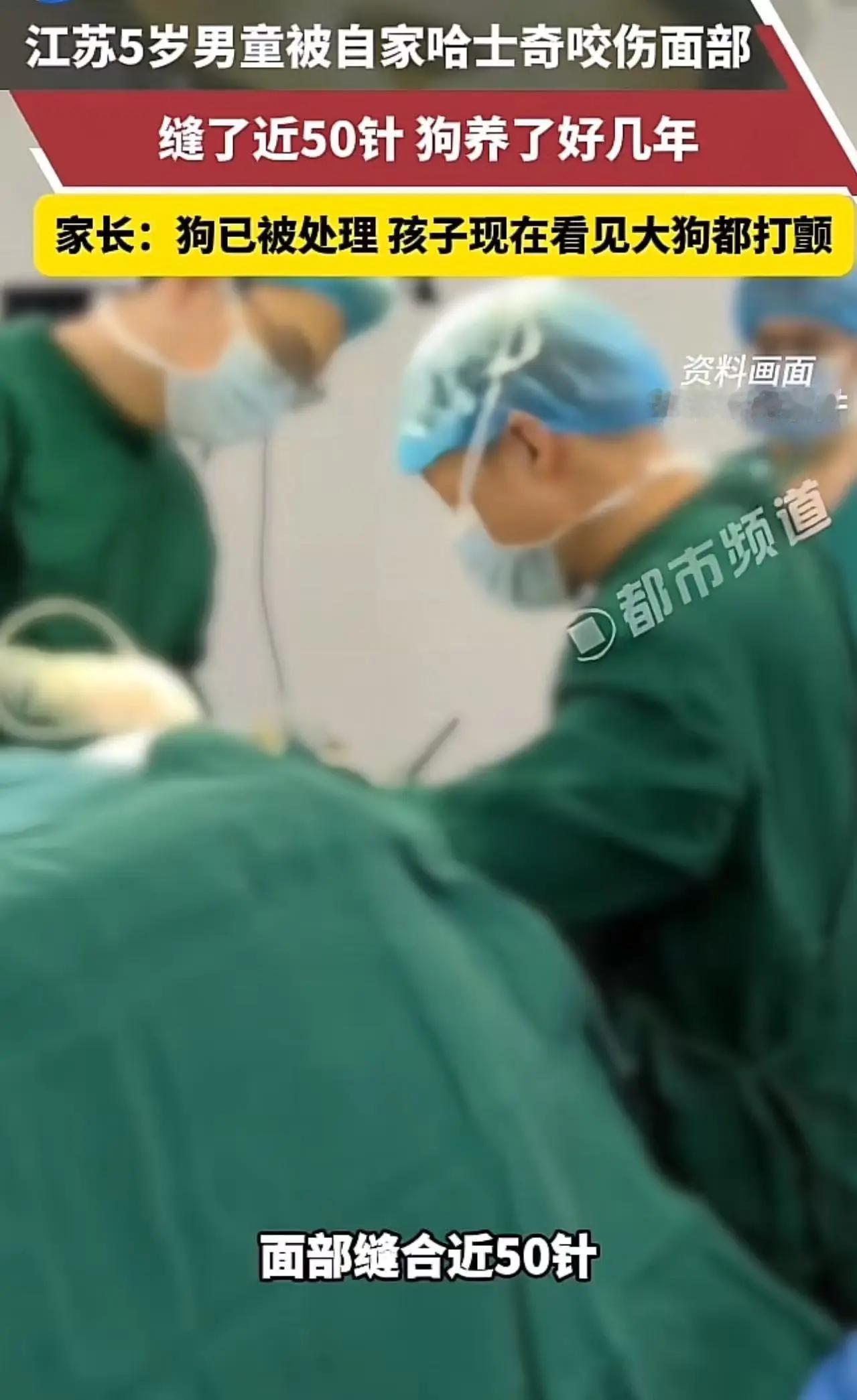 “哪些把狗当亲儿子亲闺女的请看过来！”
江苏一5岁男孩，差点被家养了几年的哈士奇