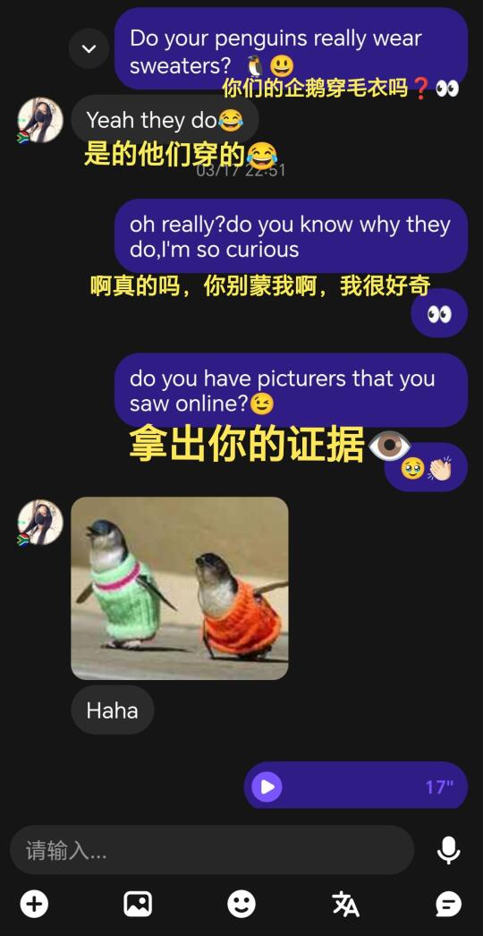 无聊的话可以上ht问南非人企鹅穿毛衣吗😁