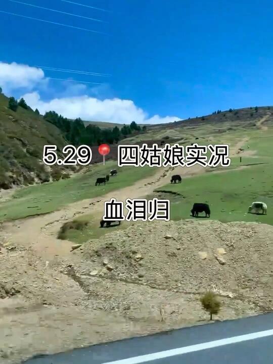 5.29📍四姑娘山现状！千万别来！血泪归！！！