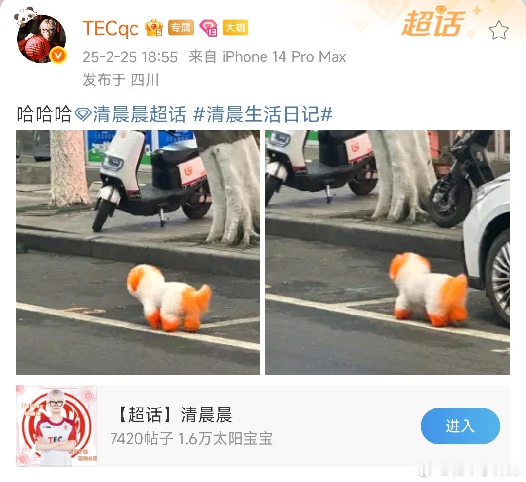 炫彩小狗，还是橙色的！和我们这赛季主色一样的[哪吒嘟嘴] 和平精英职业联赛[超话