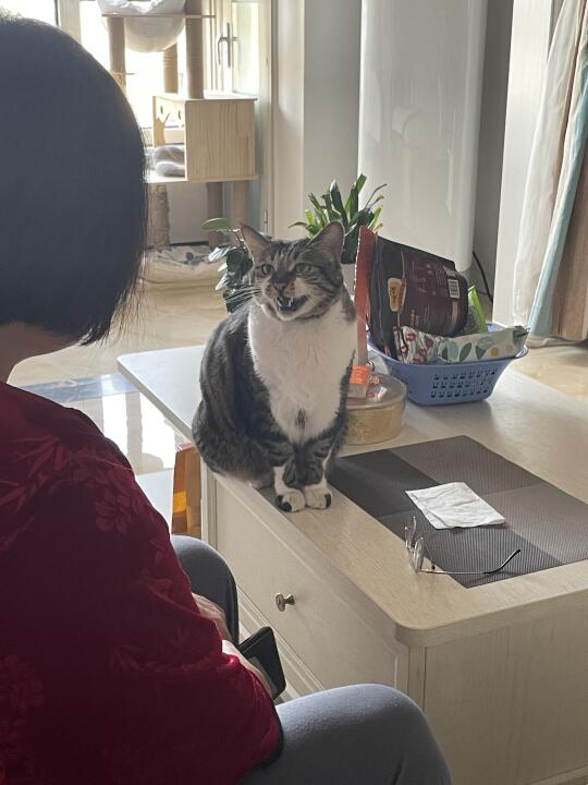 乖崽崽爱姥姥