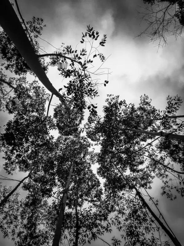 绝不能让“搞事”早苗美梦得逞，想复活日本军国主义，想重演历史，不要自不量力做皇良