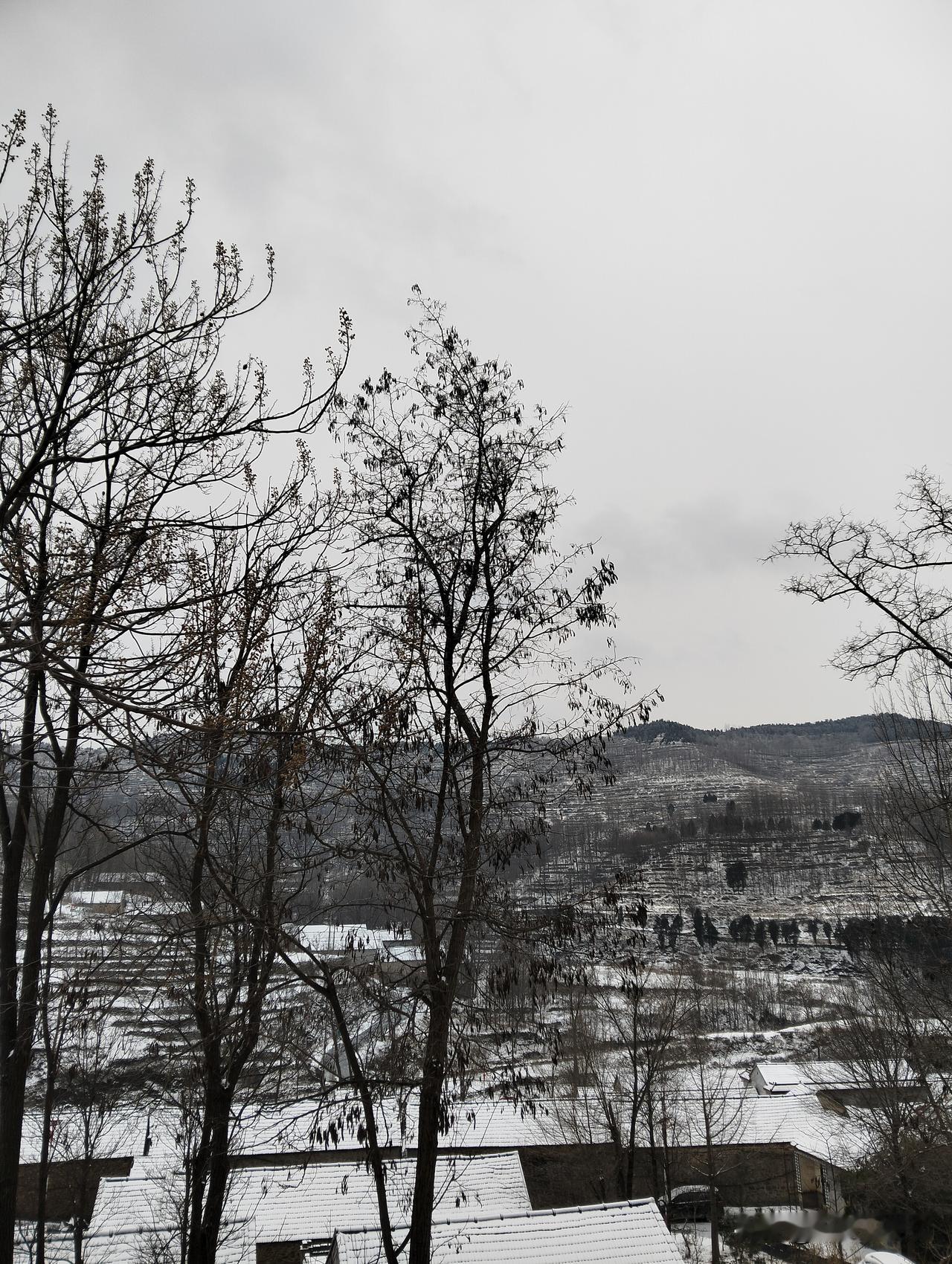 冬日生活打卡季坐标山东临沂沂水县，一个沂蒙山区的村庄，我们这里下雪了！大家出门在
