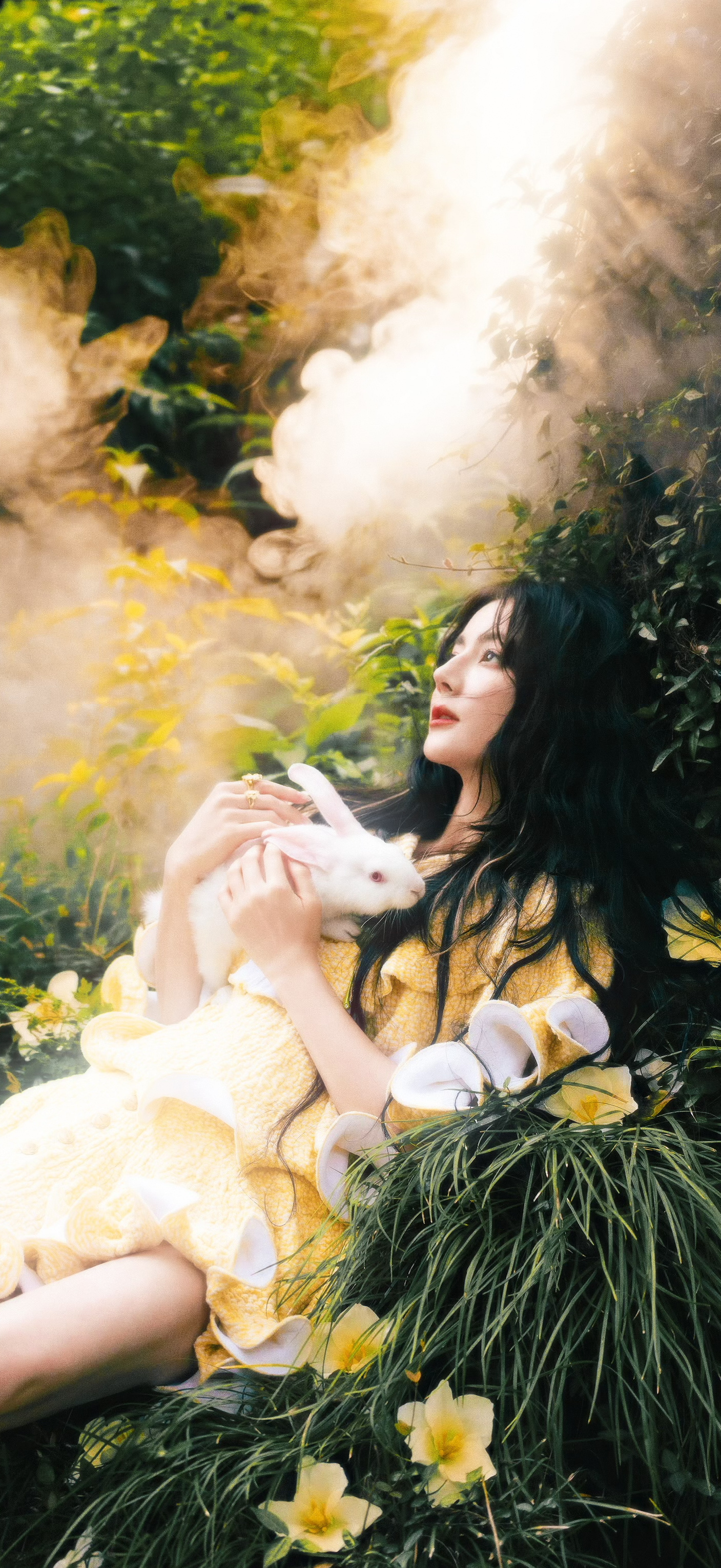 🐇 