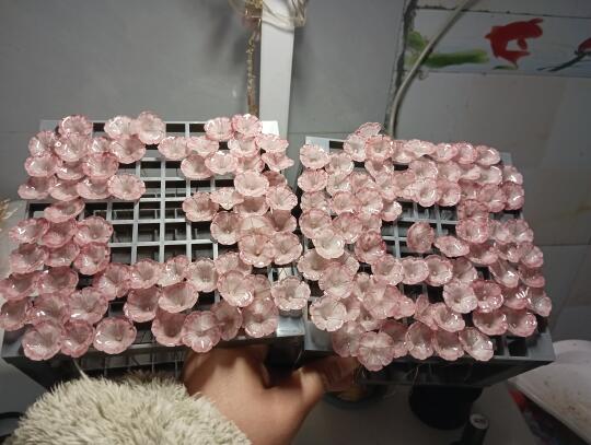 推荐一个涂uv的架子