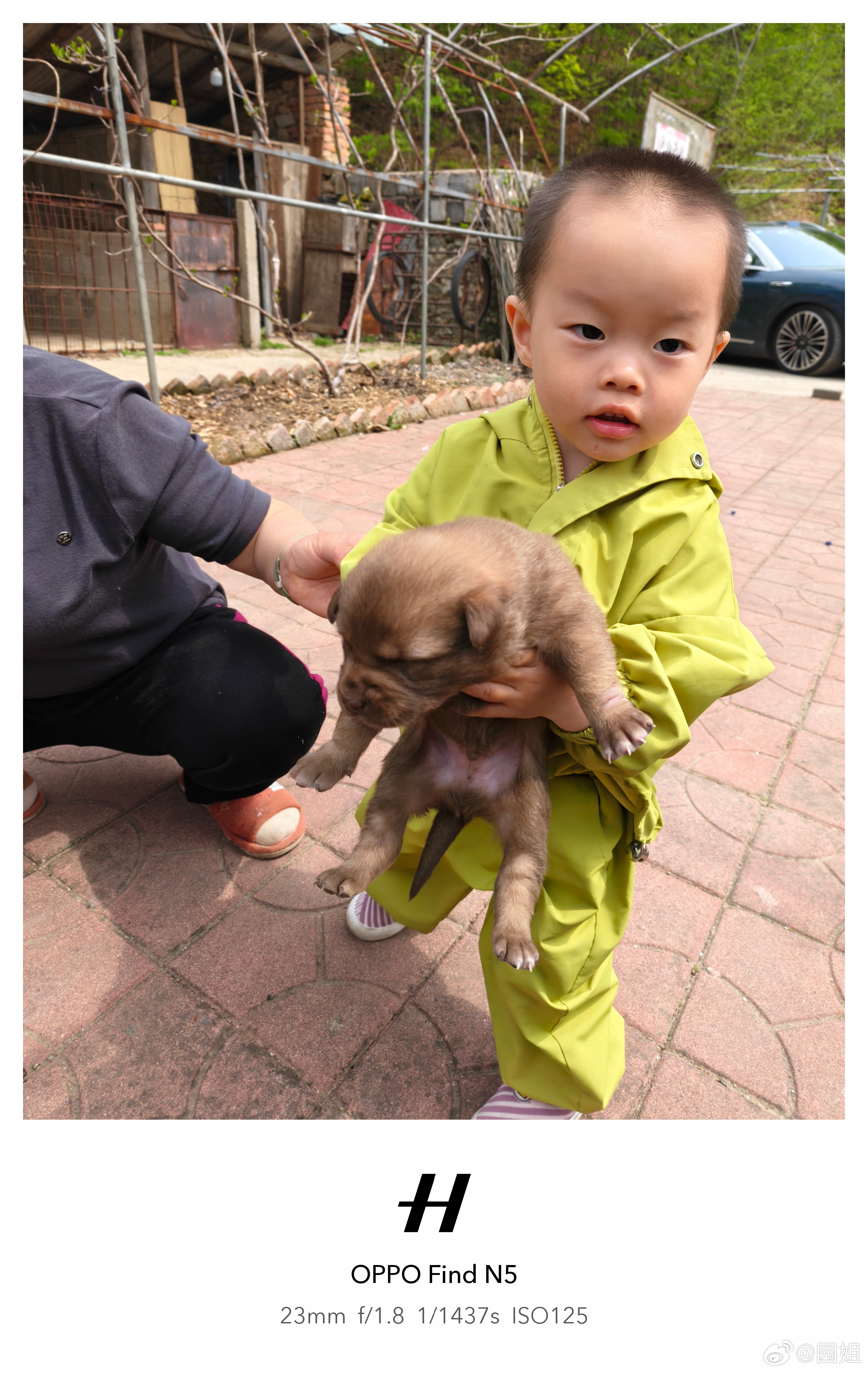 一个偷狗的娃 ​​​