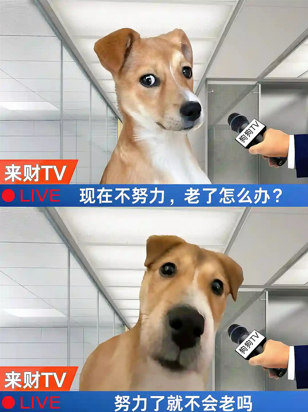 终究还是逃不过换机的命运😂