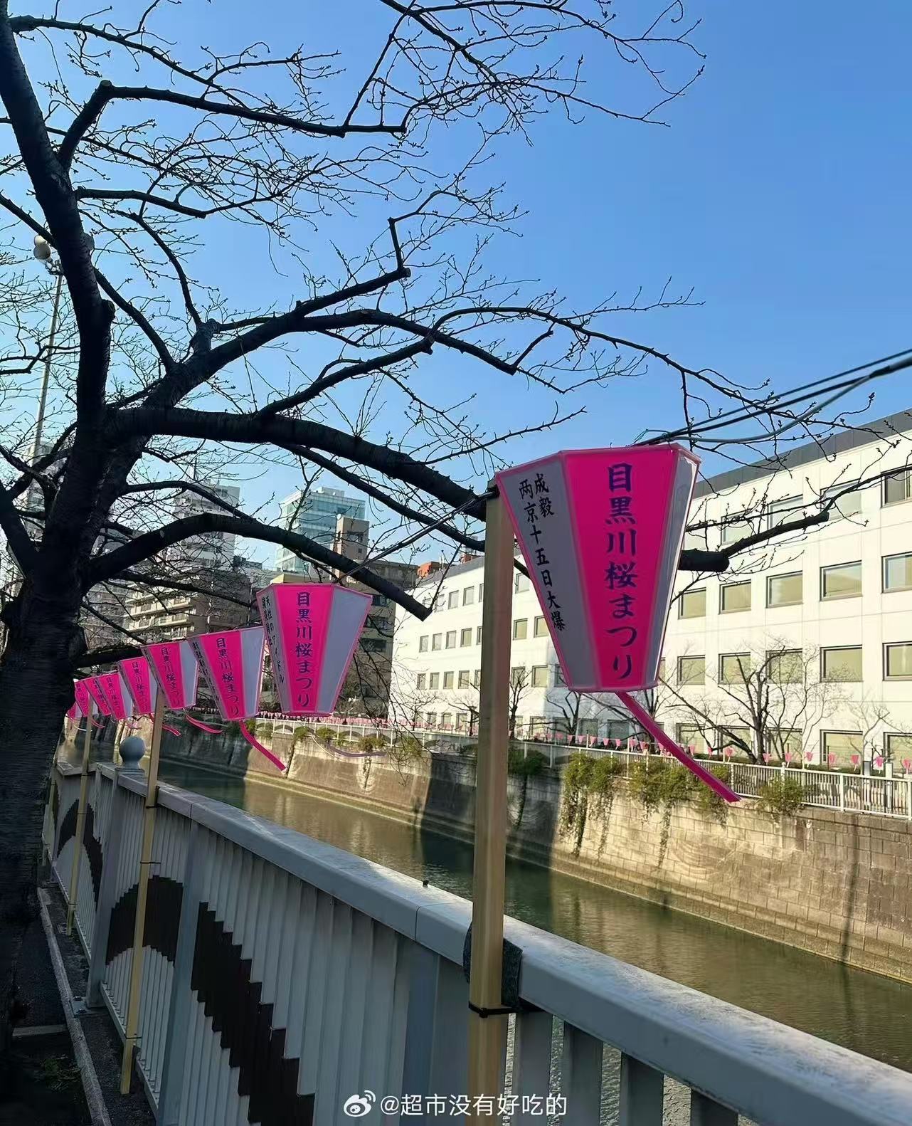 成毅两京十五日外国粉丝应援成毅新剧外国粉丝应援成毅两京十五日外国粉丝应援，挺好挺