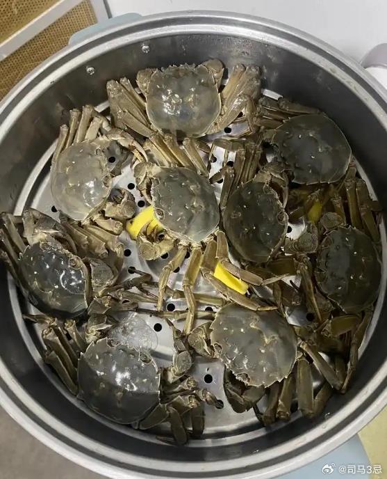 三鸡来了  不堪入目啊，土崩瓦解了：法办在为宗璐要找石榴代替刘鑫还钱；在直播间快