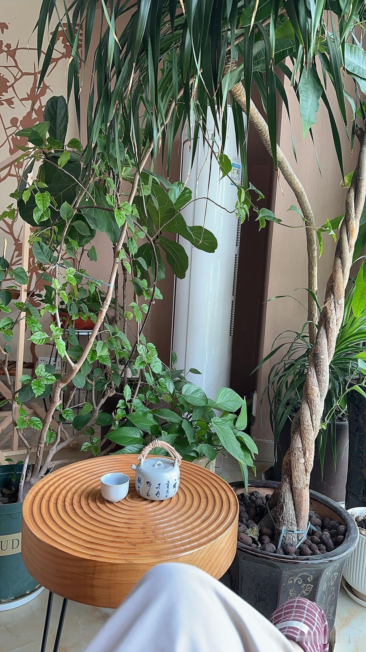 对门邻居的房子想出租，
简单装修，一百平米左右。
上次的租客月租八百元。
这次降