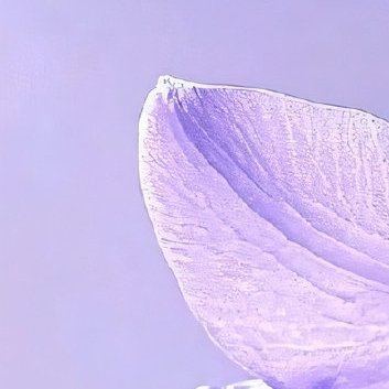 克服惰性和游离的心绪，投入理性而自律的生活。勤奋是你生命的密码,能译出你一部壮丽