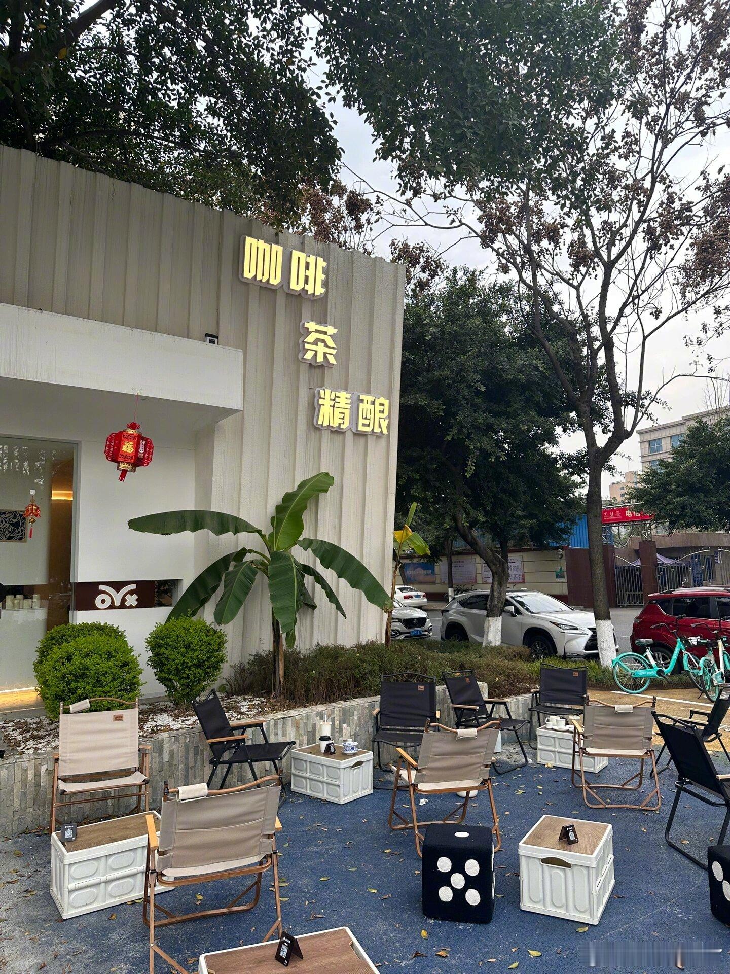 成都探店｜出太阳的时候来这里拍照！！🌳出太阳真的很好拍 两层楼的咖啡厅 宠物友
