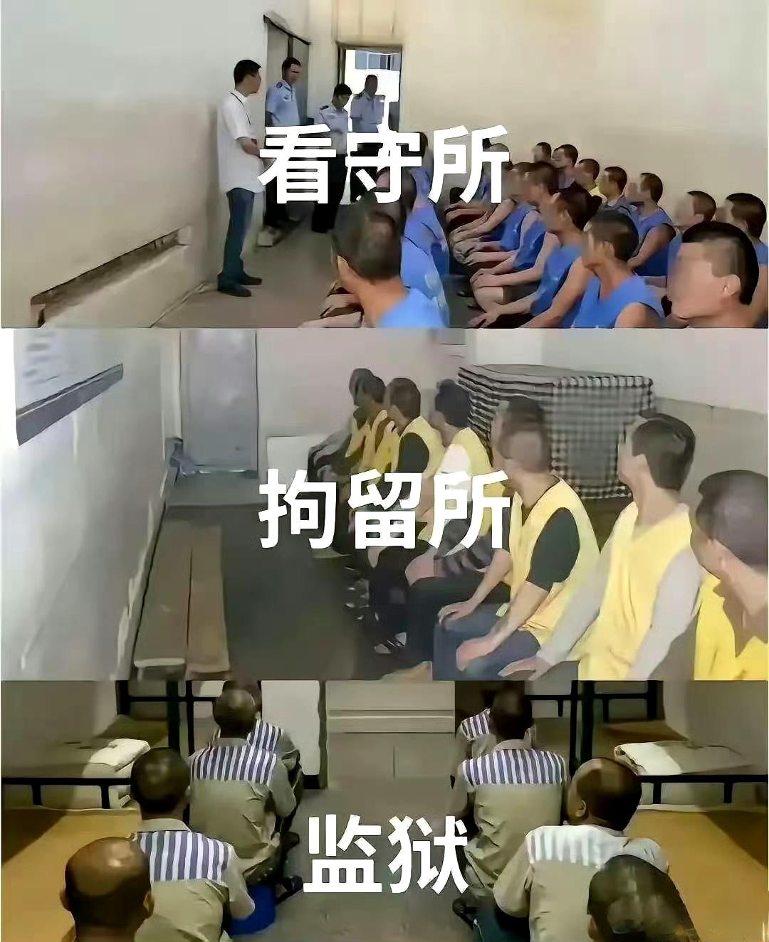 原来区别在马甲上。[笑哭]