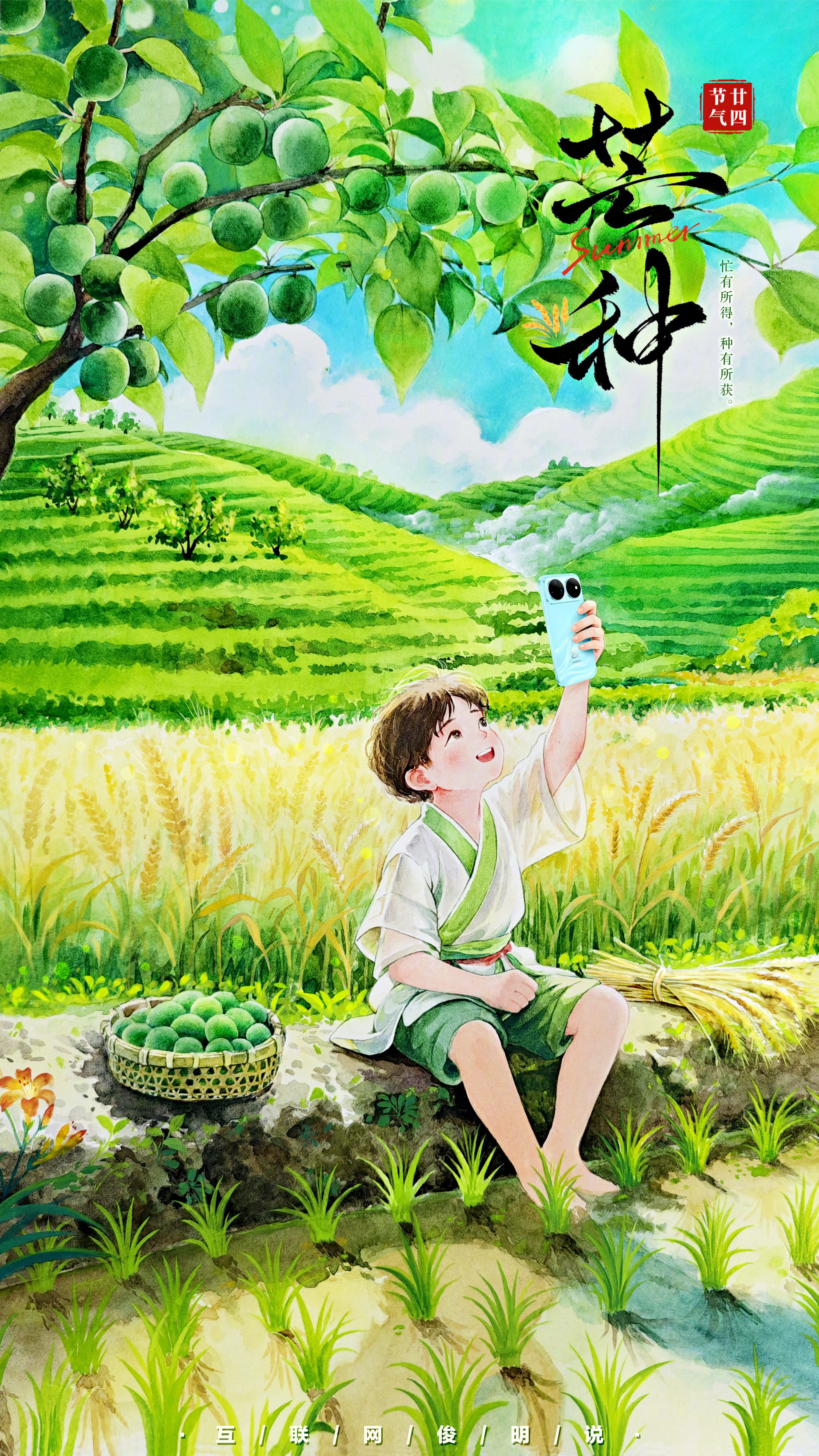 芒种  南风漫过山野，青杏挂满枝头。孩童用手机定格初夏，脚下是青嫩稻谷。所谓“芒