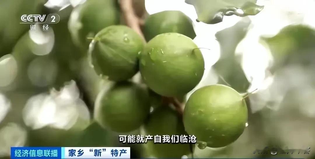 你吃的夏威夷果可能来自中国云南，它只是叫夏威夷果，但全球一半以上的种植区在云南，