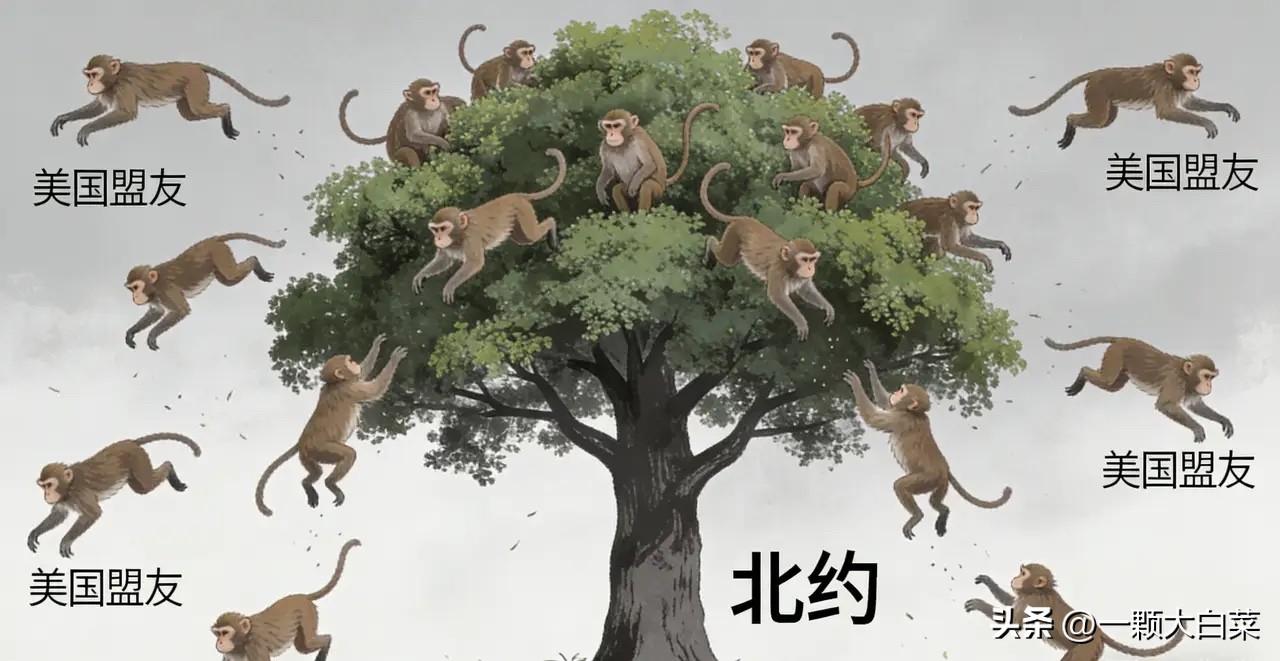 美国霸权未塌，猢狲先离！！

2026年3月31日意大利阻止美军轰炸机降落西西里