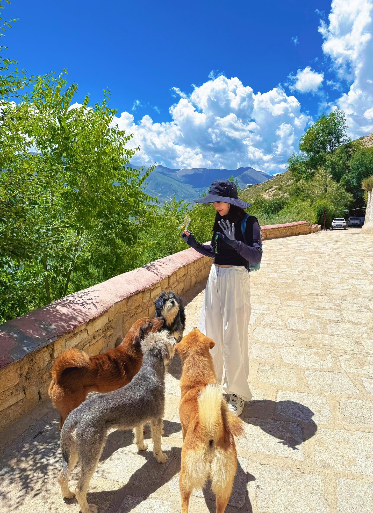 这个世界上没有什么生活方式是完全正确的，神山圣湖不是终点，接受平凡的自...