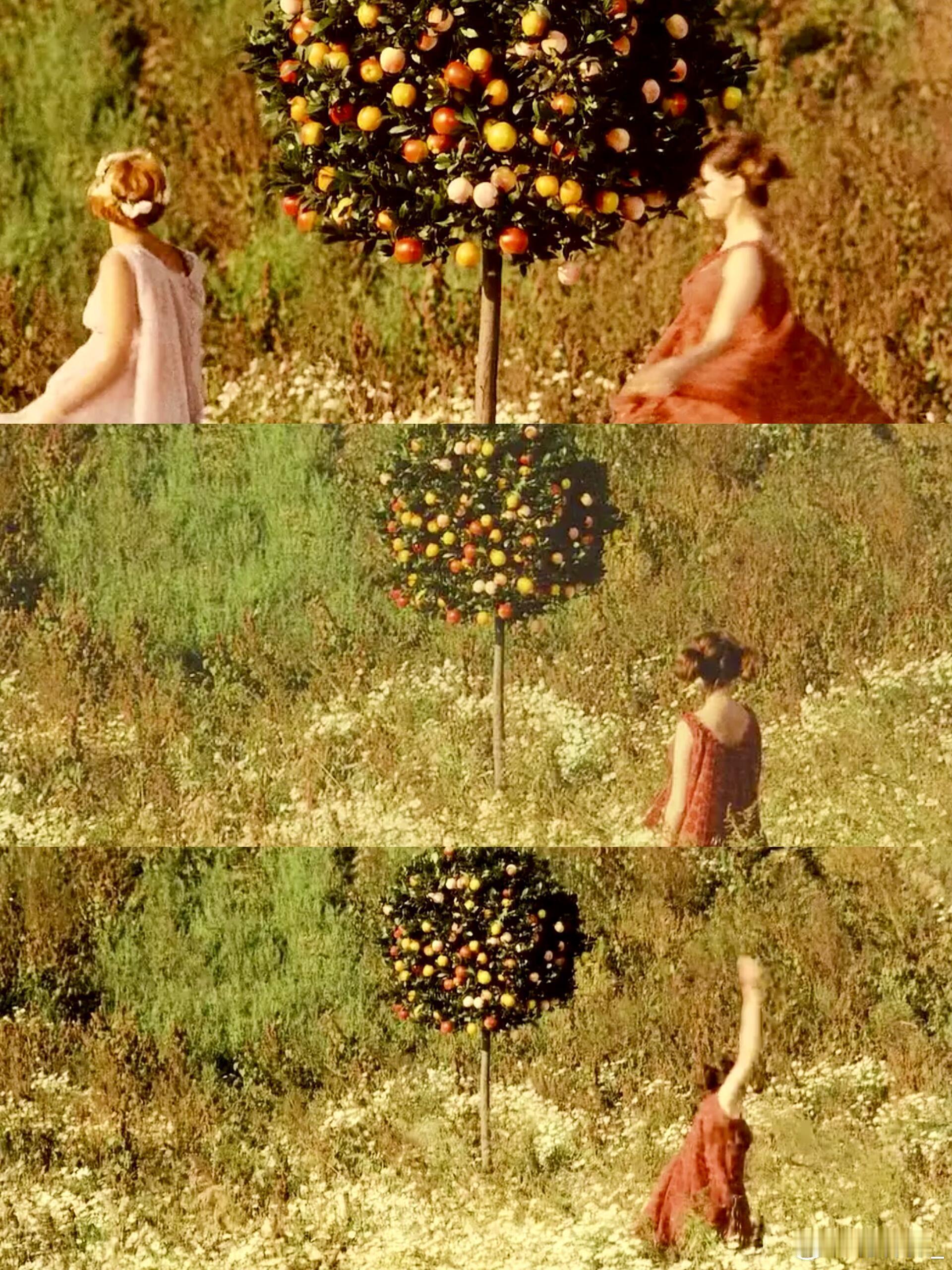 《雏菊》两个都叫玛丽的年轻姑娘在交谈一天后决定要过“堕落”的生活，为此想出无数诡