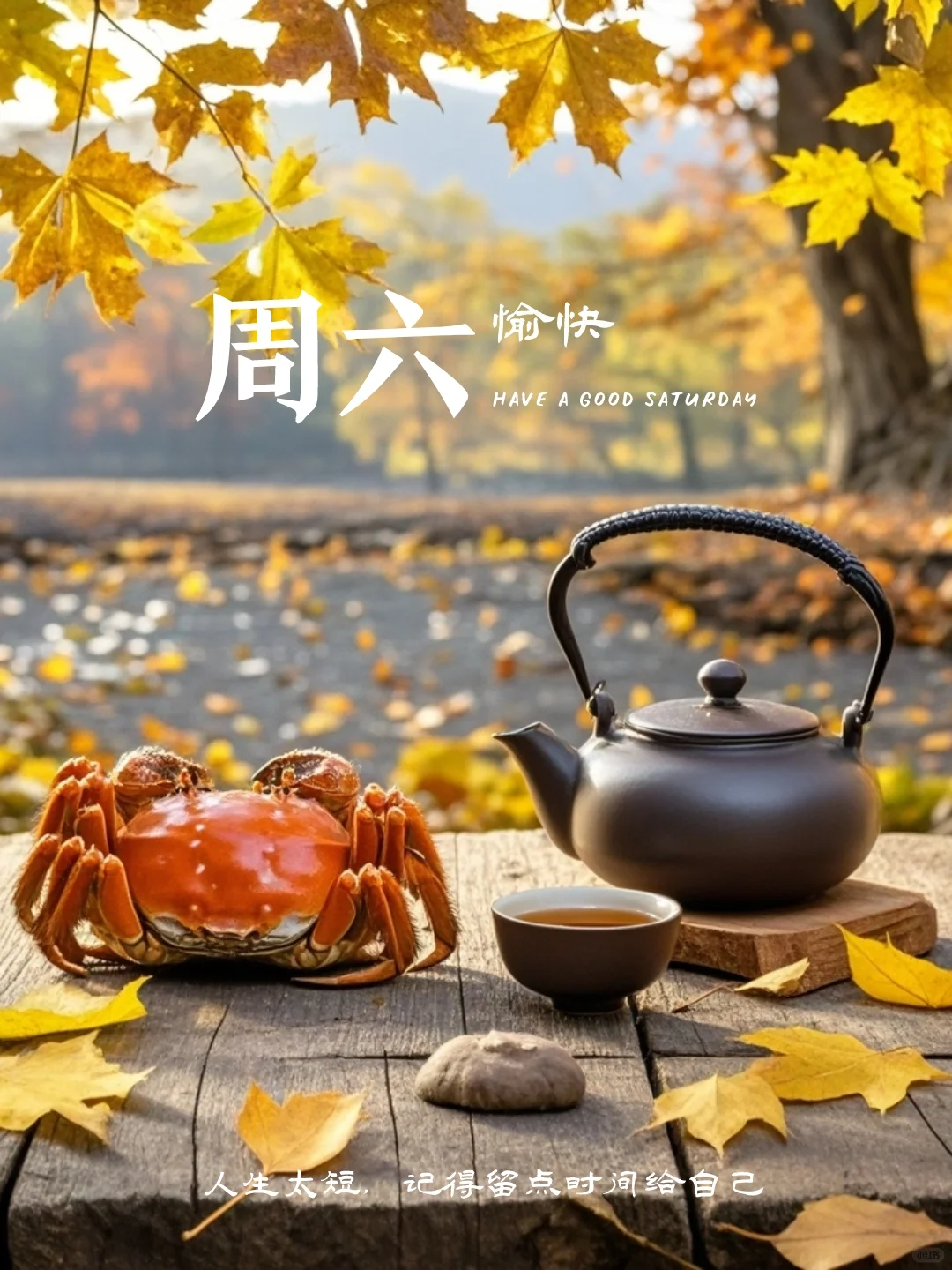 周六愉快｜海报设计｜早安心语｜小众文案