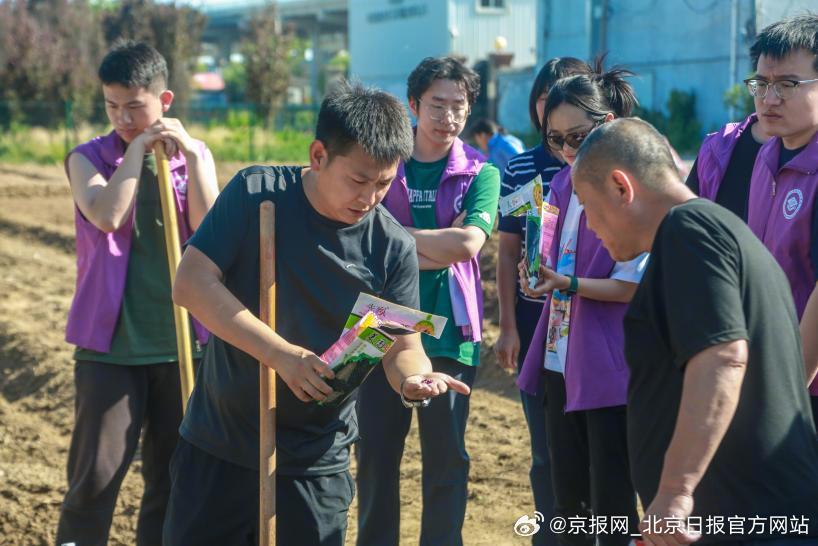 【农民丰收节第一书记风采展区，用心用情绘就北京乡村新图景——】秋分丰收季，京郊嗨