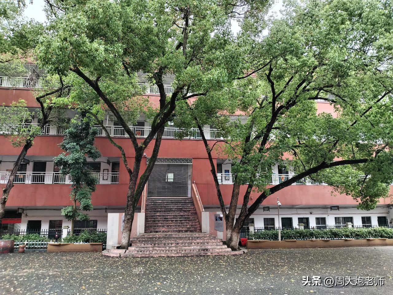 这是东安二小的校园，老教室门前曾栽着两棵大樟树。
后来老教室拆除，新教学楼拔地而