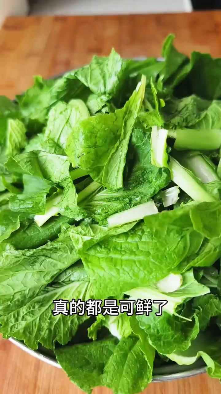 就这一锅小白菜榛蘑炖冻豆腐，真的是菌香味十足，没有复杂的调料就是鲜。现在小白菜不