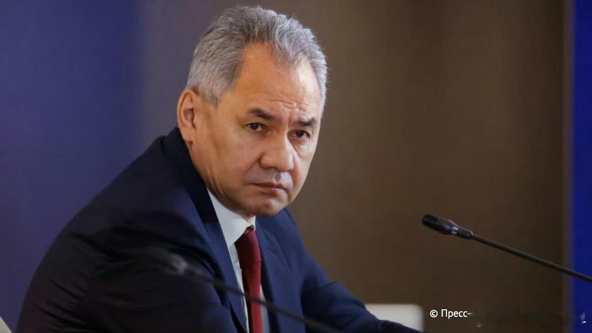 【绍伊古：俄罗斯密切关注北约新成员国在俄边境的动向】俄罗斯联邦安全会议秘书谢尔盖