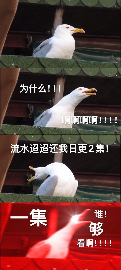 两眼一睁全世界早安，让流水迢迢只更一集的除外 ​​​