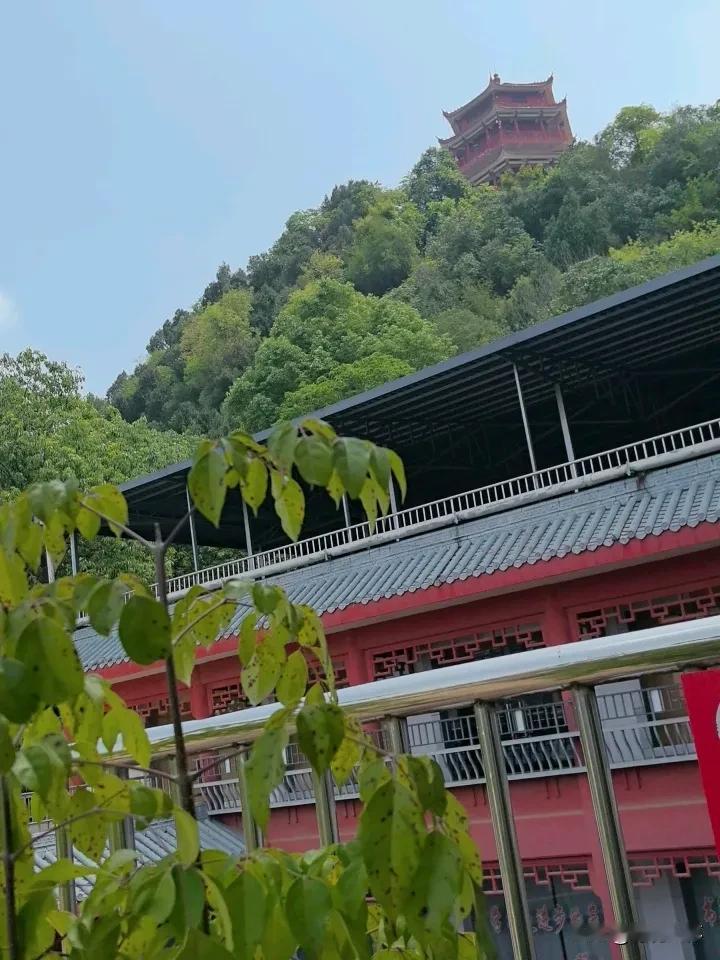 我来过，也许，只有这种地势，才是建图书馆的最佳位置，而我，此时就正在图书馆的三楼