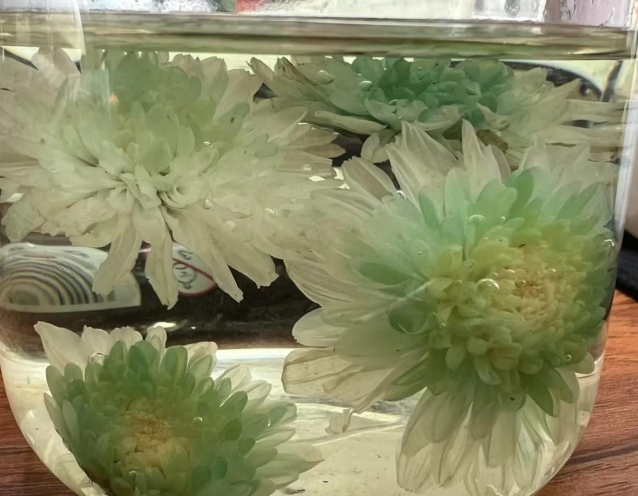 治愈系风景分享